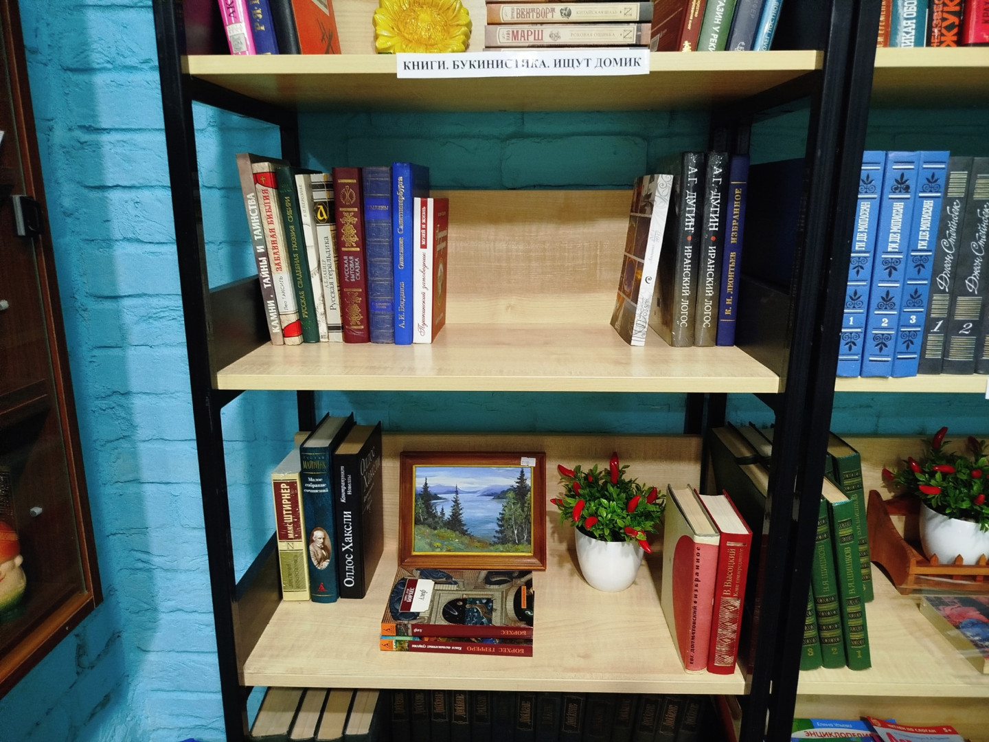 Книги в магазине-студии