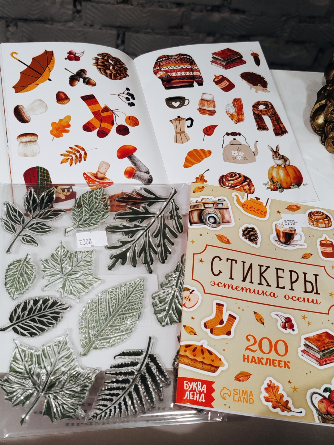 Осенний вайб нашей студии 🍂🍁🍂🍁