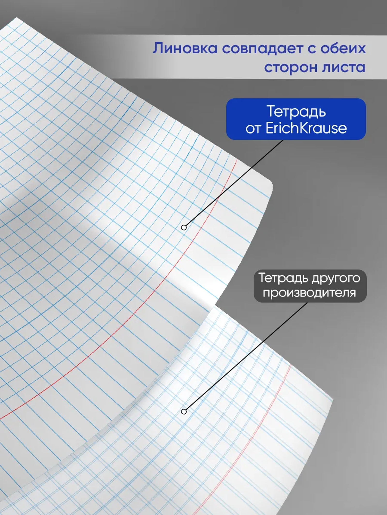 Тетрадь 12 л. в клетку ErichKrause «Классика»