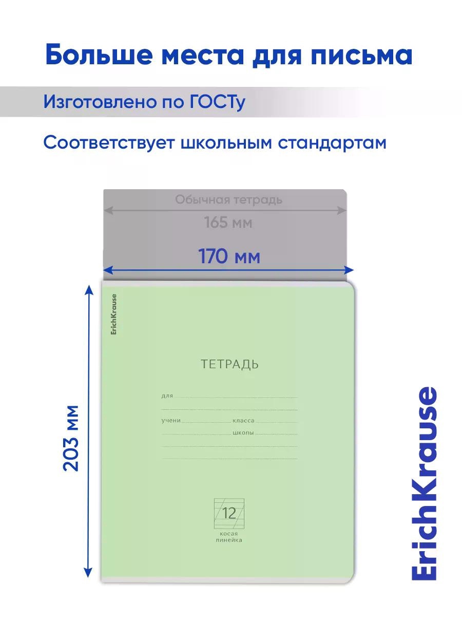 Тетрадь 12 л. в косую линейку ErichKrause «Классика»