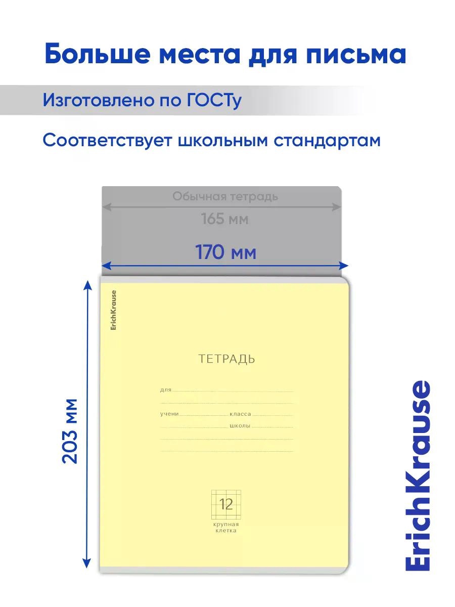 Тетрадь 12 л. в крупную клетку ErichKrause «Классика»