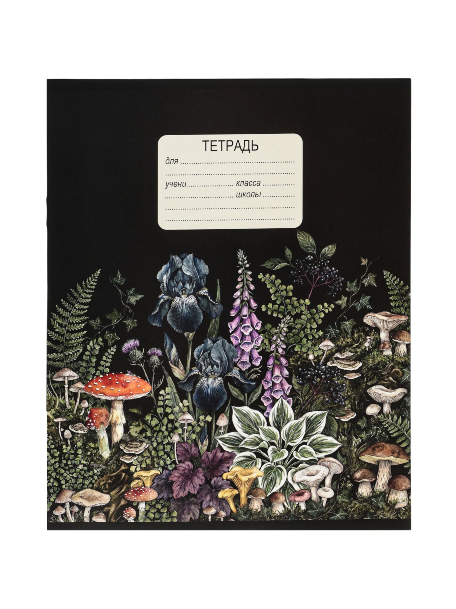 Тетрадь 12 л. в клетку Calligrata «Грибы»