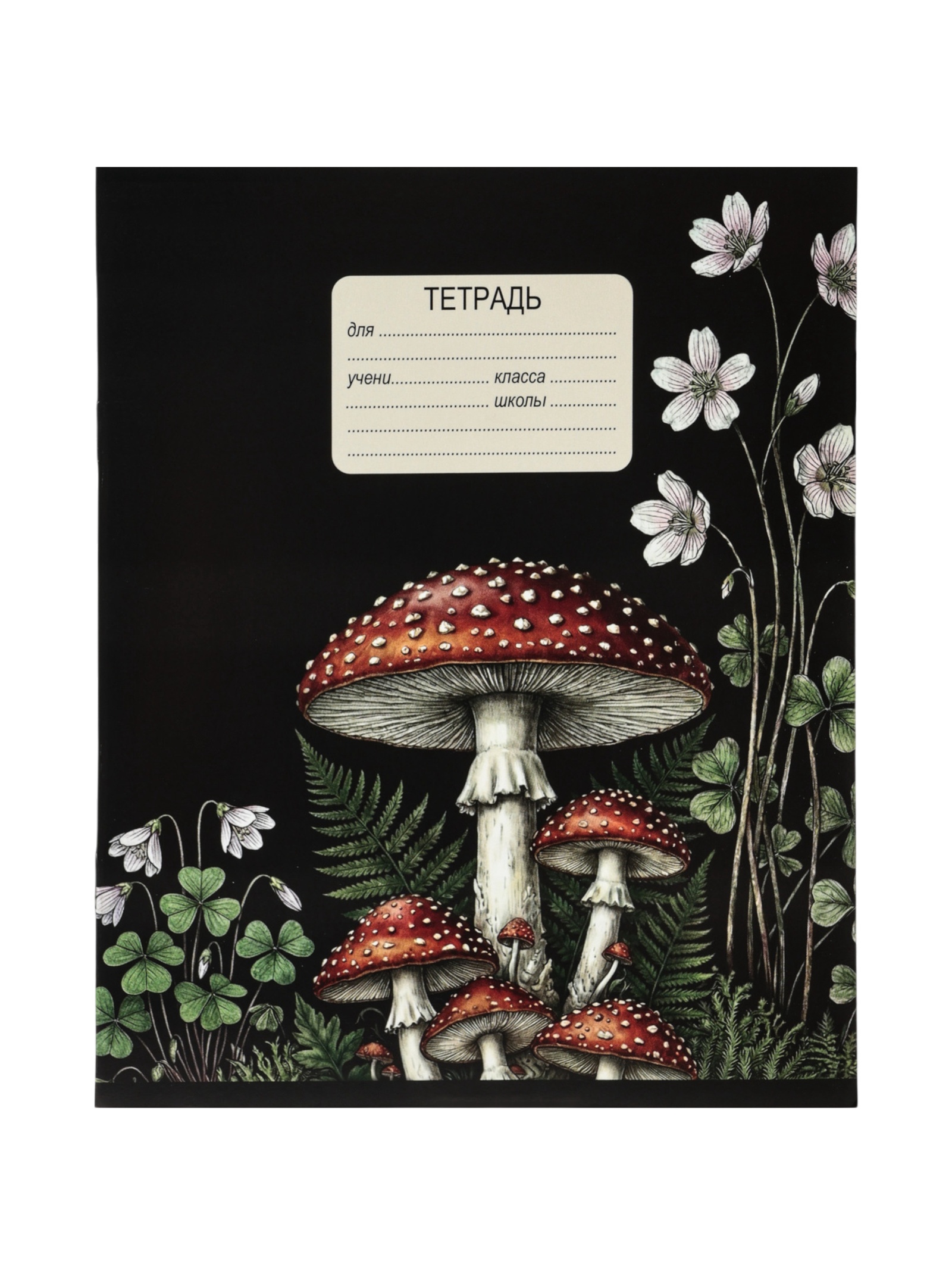 Тетрадь 12 л. в клетку Calligrata «Грибы»