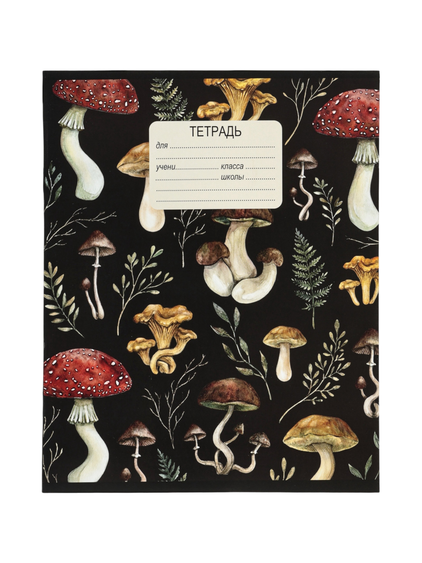 Тетрадь 12 л. в клетку Calligrata «Грибы»