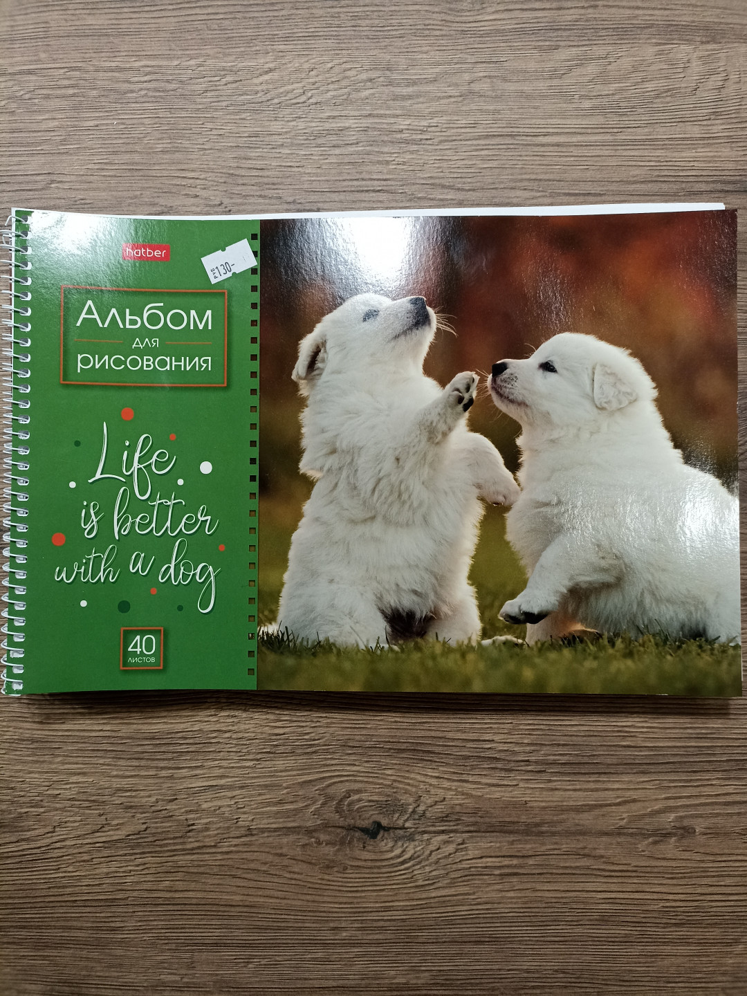 Альбом для рисования, "Doggie-Щенки", 40 л., А4, на пружине, hatber