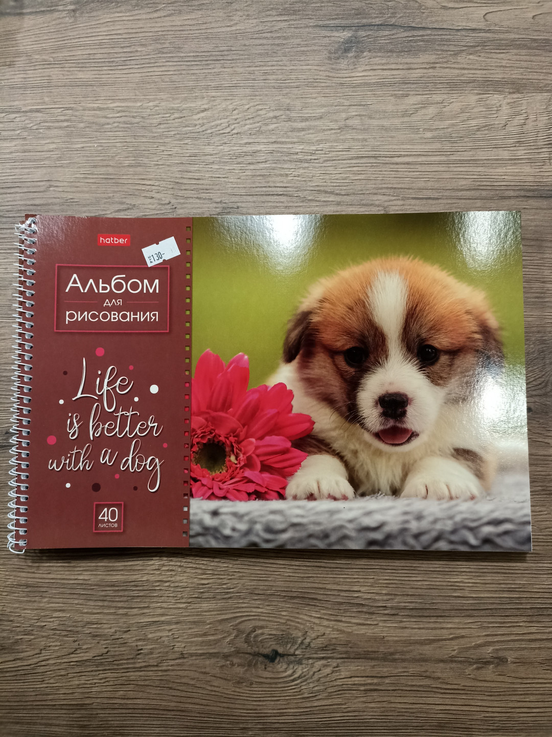Альбом для рисования, "Doggie-Щенки", 40 л., А4, на пружине, hatber