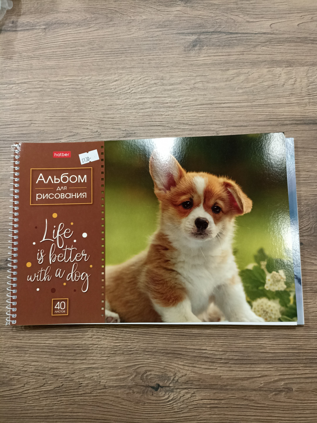 Альбом для рисования, "Doggie-Щенки", 40 л., А4, на пружине, hatber