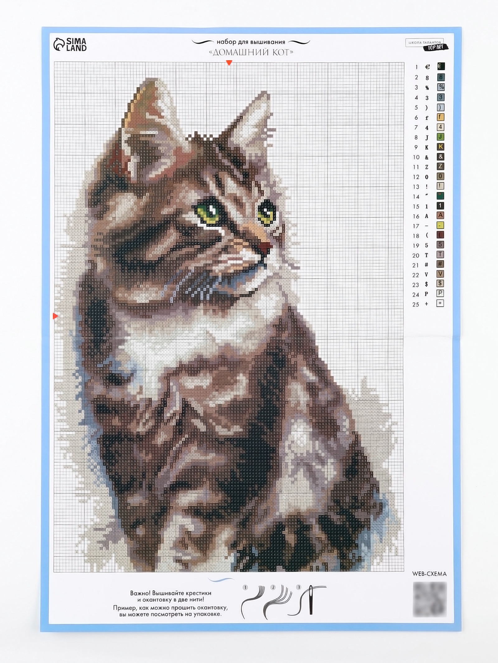 Вышивка крестиком «Домашний кот», 21×30 см, aida 14, мулине 25 цв