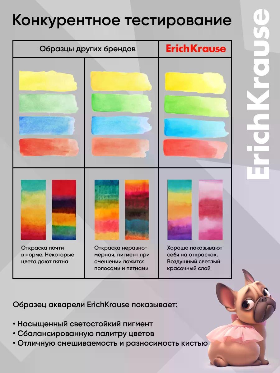 Акварельные краски 12 цветов ErichKrause Frenchie, европодвес